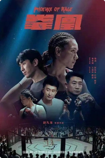拳凰海報