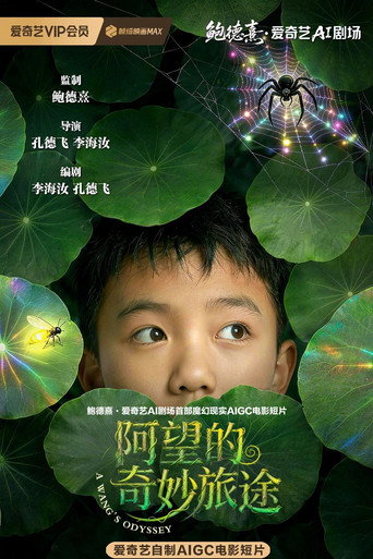 阿望的奇妙旅途海報