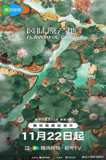 風味原產地·湖北海報