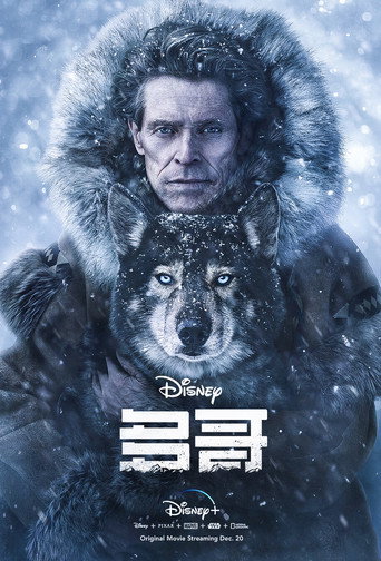 雪橇犬多哥海報