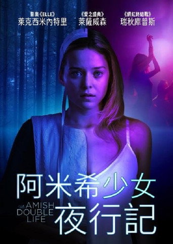阿米希少女夜行記海報