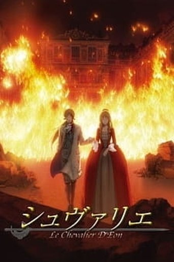 雙面騎士海報