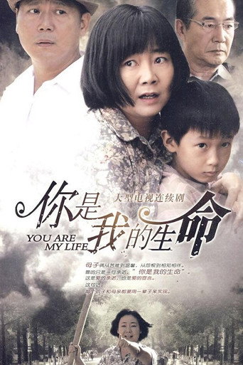 你是我的生命海報
