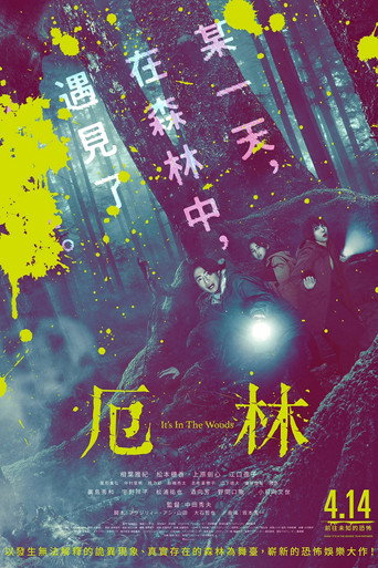 厄林海報