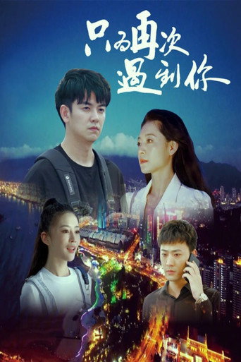只為再次遇到你海報