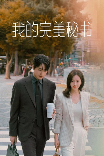 我的完美秘書海報