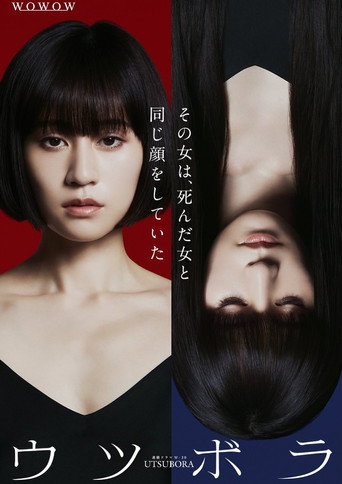 雙面少女海報