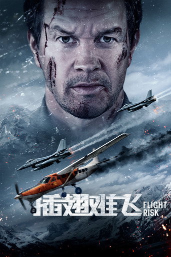 失速機劫海報