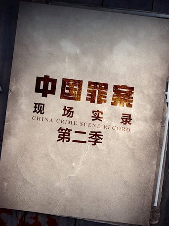 罪案現場實錄 第 2 季海報