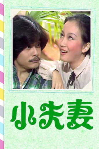 小夫妻海報