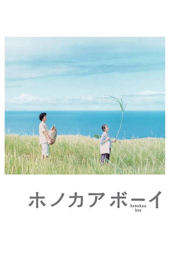 夏威夷男孩海報