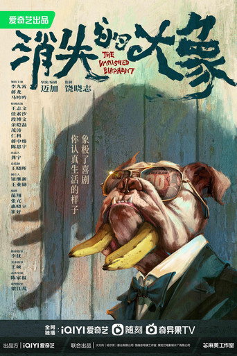 消失的大象海報