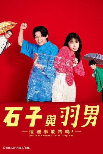 石子與羽男:這種事能告嗎?海報