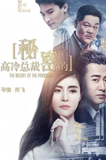 高冷總裁的秘密海報