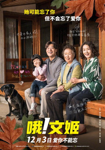 名偵探奶奶海報