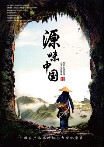 源味中國海報
