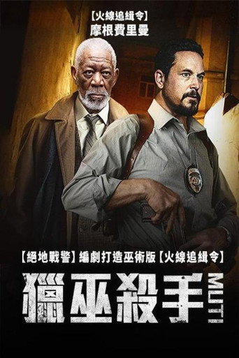 獵巫殺手海報