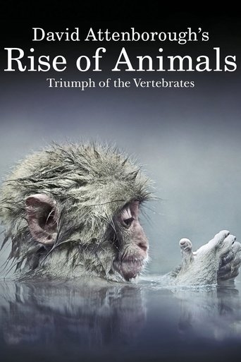 動物的崛起：脊椎動物的勝利海報