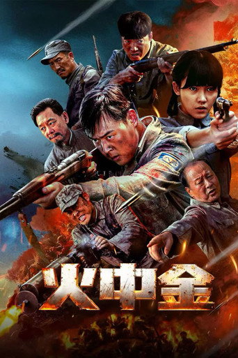火中金海報