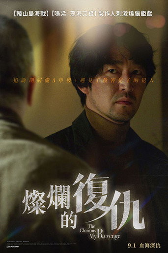 燦爛的復仇海報