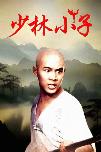 少林小子海報
