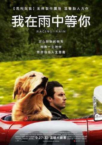 我在雨中等你海報