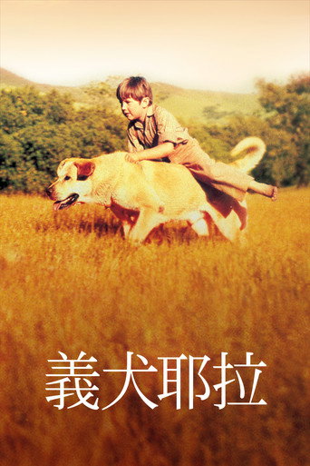 義犬耶拉海報