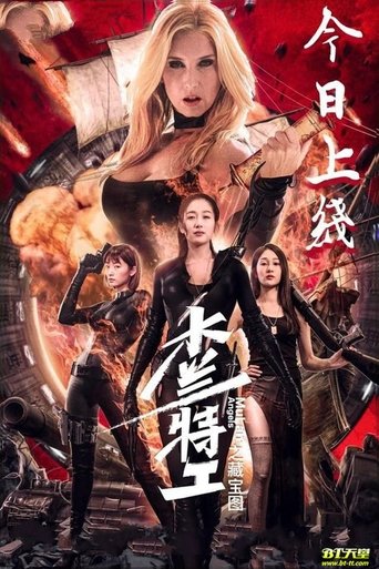 木蘭特工之藏寶圖海報
