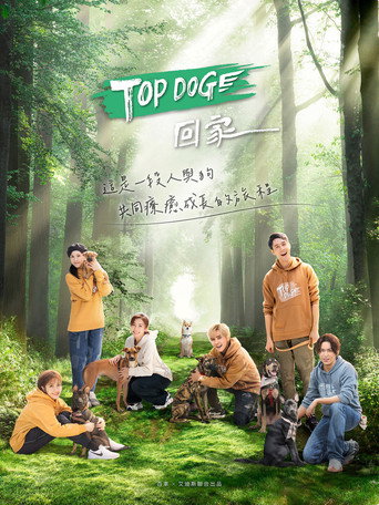 TOP DOG 回家海報