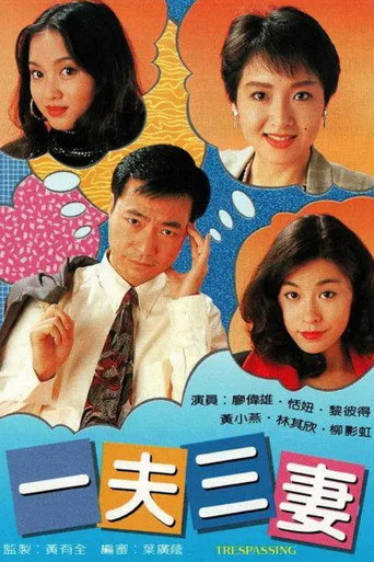 一夫三妻海報