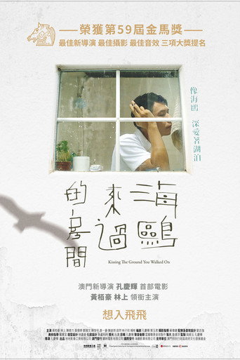 海鷗來過的房間海報