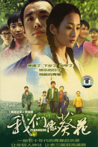 我們像葵花海報