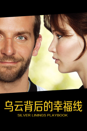 派特的幸福劇本海報