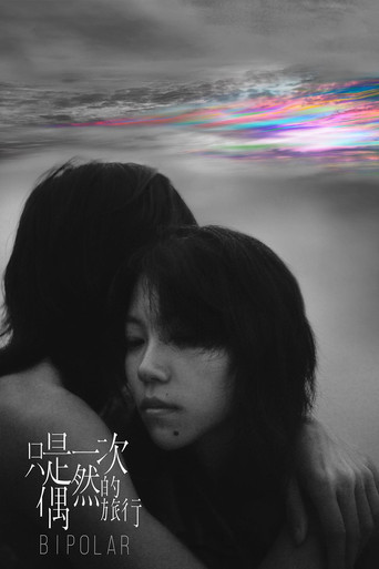 只是一次偶然的旅行海報