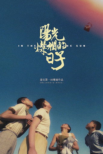 陽光燦爛的日子海報