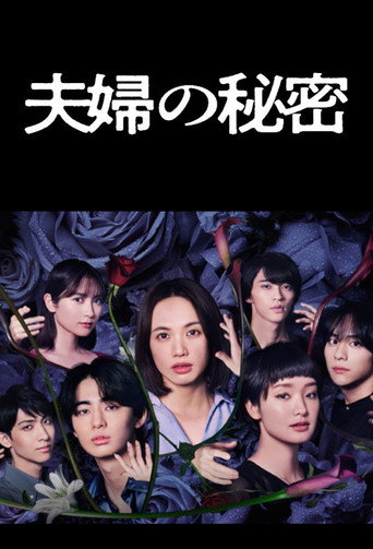 夫婦的秘密海報