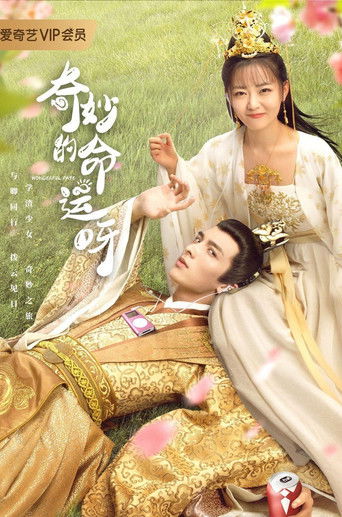 奇妙的命運呀海報