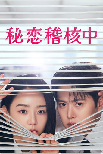 秘戀稽核中海報