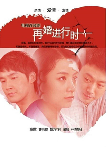 再婚進行時海報