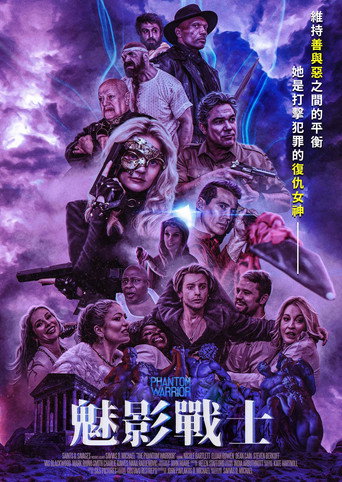 魅影戰士海報