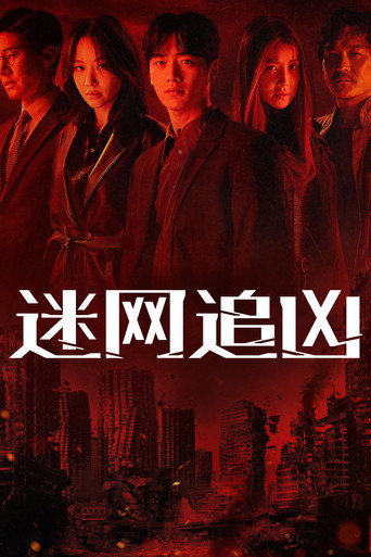迷網追兇海報