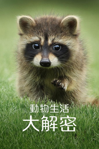 動物生活大解密海報