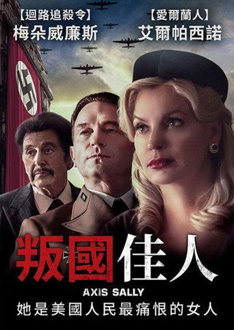 叛國佳人海報
