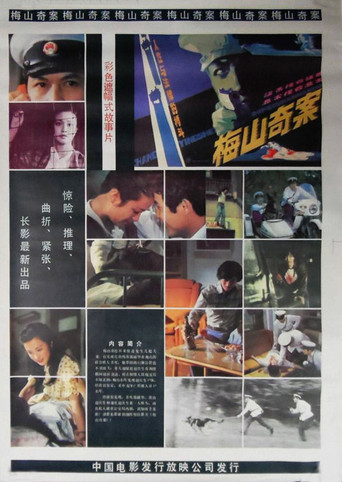 梅山奇案海報