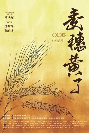 麥穗黃了海報