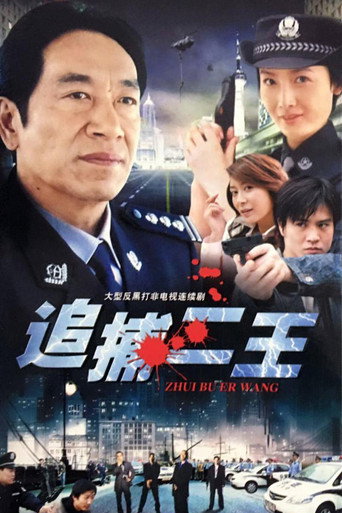 追捕二王海報