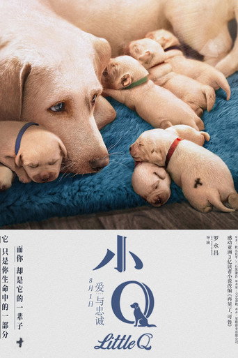 再見了!小Q海報