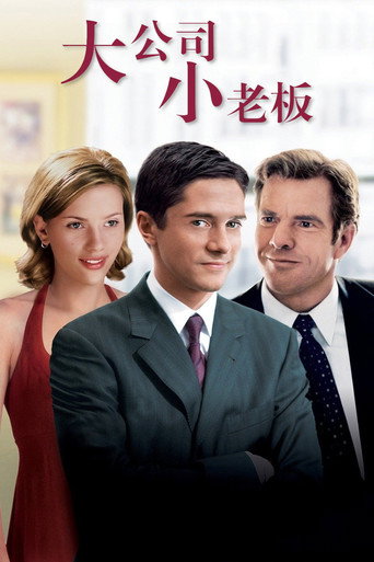大公司小老闆海報