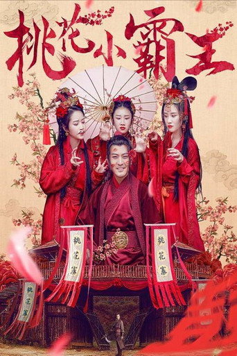 桃花小霸王海報
