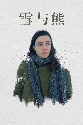雪中真相海報